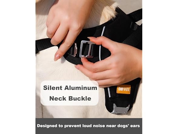 DF No Pull Martingale Dog Harness and Leash