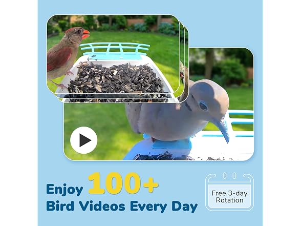 Twesync Smart Bird Feeder with Camera
