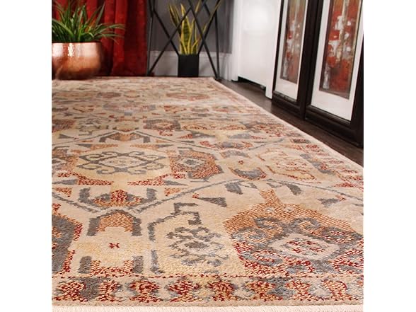 Superior 2'x3' Bohemian Modern Farmhouse Rug