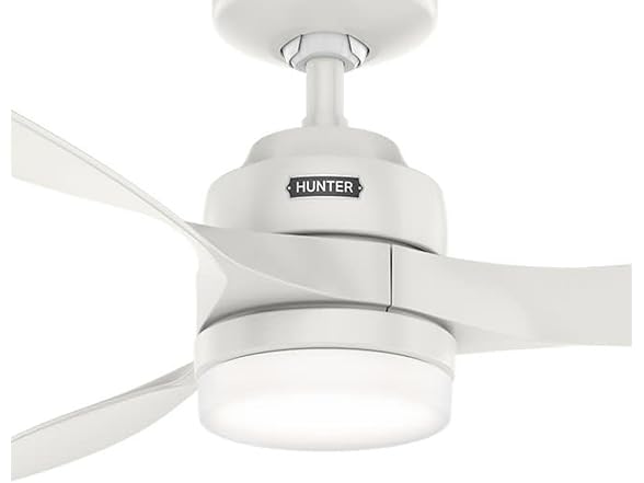 Hunter Fan 52 inch Ceiling Fan with Light