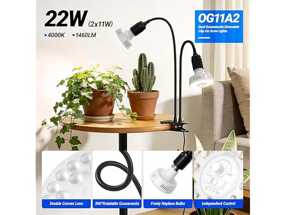 Barrina clip lamp