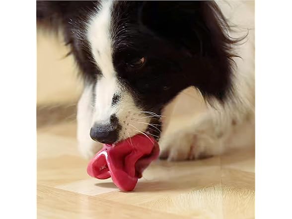 PetDreamHouse Chewtastic Geometrics Natu