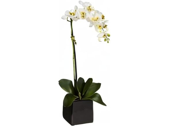 20in. Orchid Artificial Arrangement