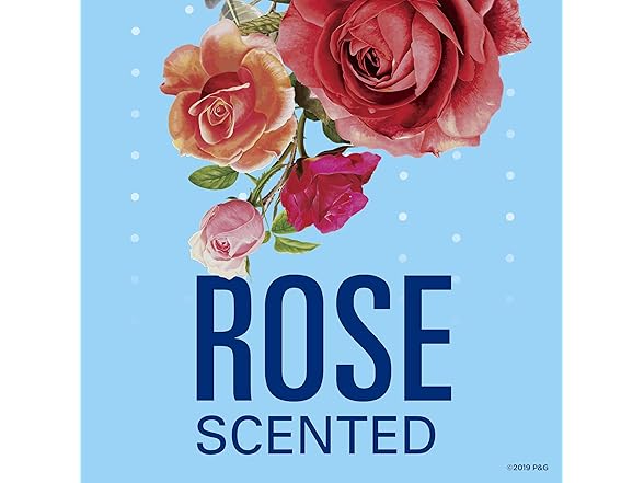 Secret Invisible Solid Rose 2.6 oz