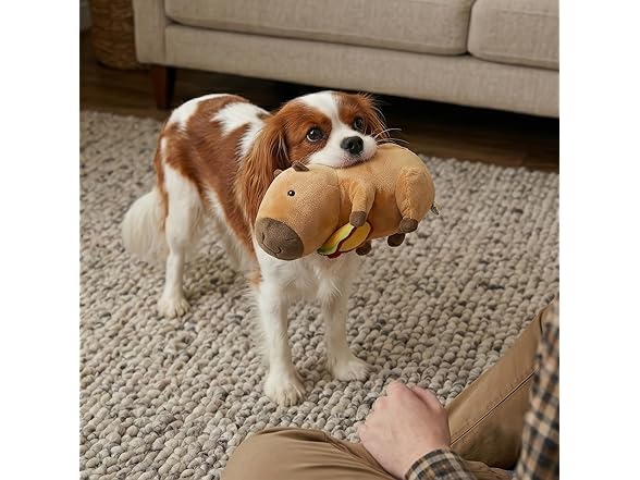 SPOT Capybara with Taco Plush Dog Toy