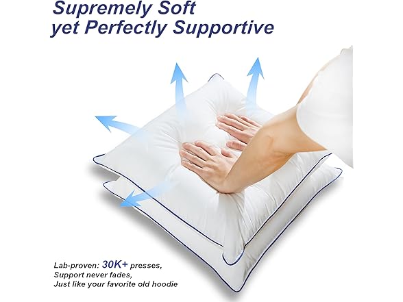 Pillow Insert Set of 2