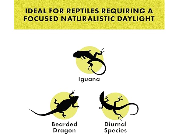 Zilla Incandescent Spot Bulbs Day White 100 Watts