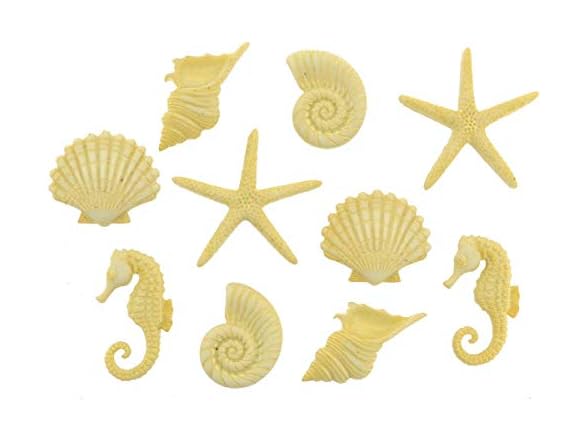 The Seaside Collection by Dress it Up