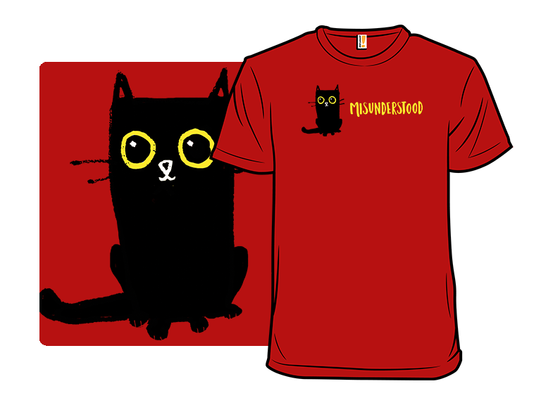 Misunderstood  Like a Black Cat