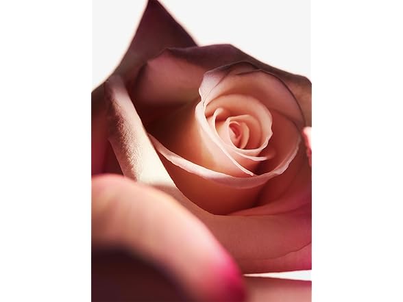 Olympea Flora Intense by Paco Rabanne EDP for Women