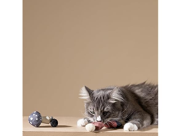 Fringe Studio Forest Finds Cat Toy Mini Sets of 3