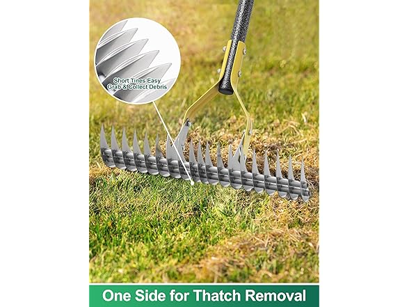 Thatch Rake, 2-in-1