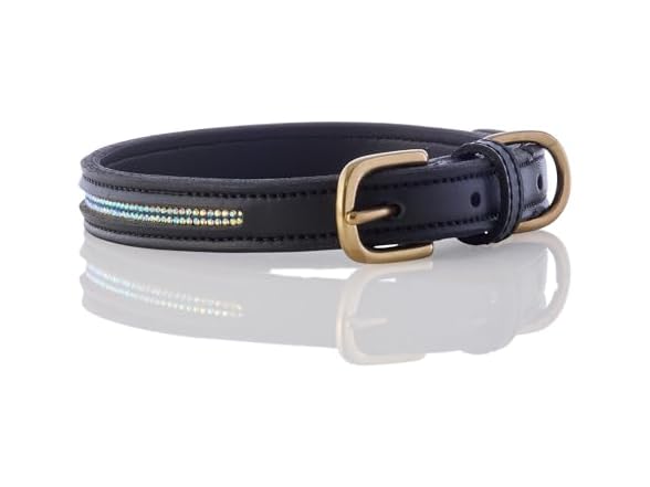 Pet Passion Vegan Leather Dog Collar