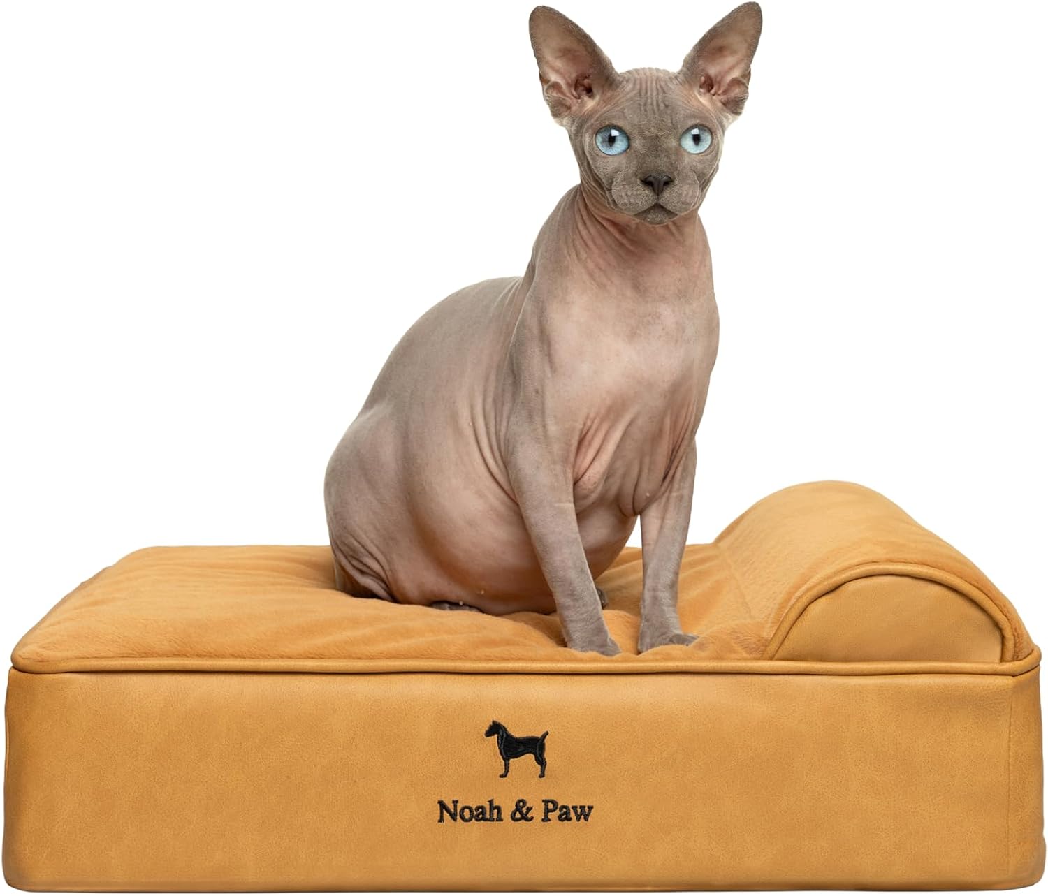 NOAH & PAW Orthopedic Dog Beds- Small - Gallery 10