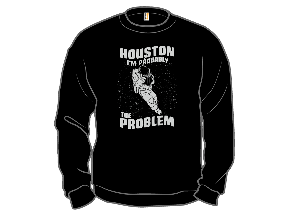 Houston, the Problem Is Me - Gallery 11