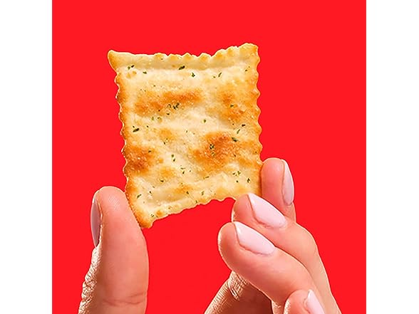 RITZ Toasted Chips Sour Cream and Onion Crackers