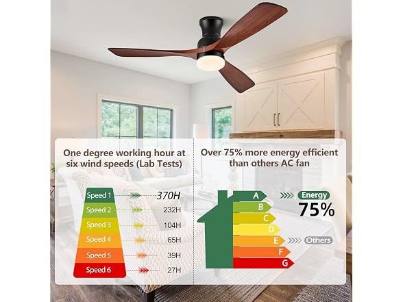 BOOSANT 60" Ceiling Fan with Lights Flush Mount