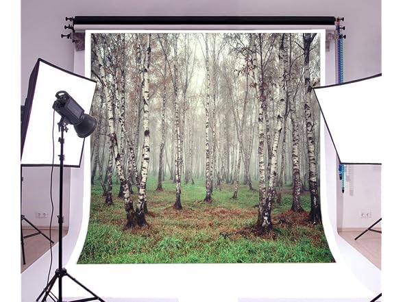 Laeacco 6x6ft Morning Fog Forest Birch