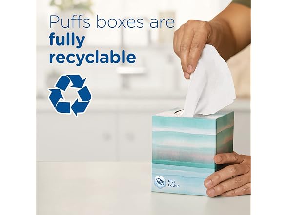 Puffs Facial Tissues Plus Lotion 8 Family Box