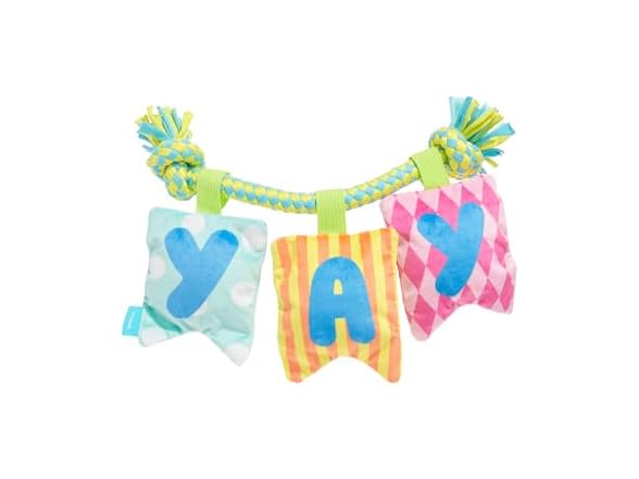 BarkBox Happy Yay Banner Dog Toy - Toy