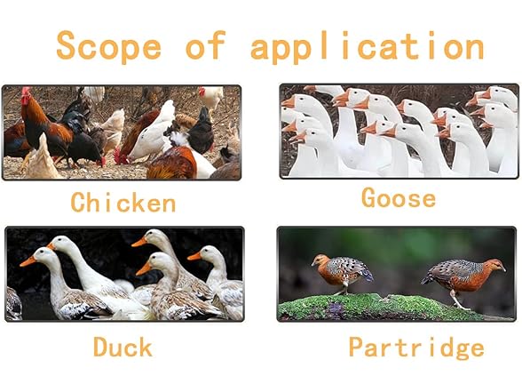 OTEHOO 1-100 Numbers Poultry Leg Bands