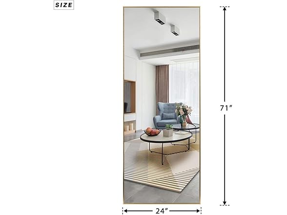 NeuType Full Length Mirror,Gold,71"x24"