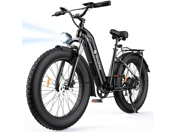 isinwheel Electric Bike 48V Battery 1500W