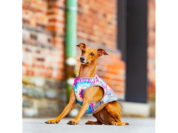 Canada Pooch Dog Cooling Vest Dogs