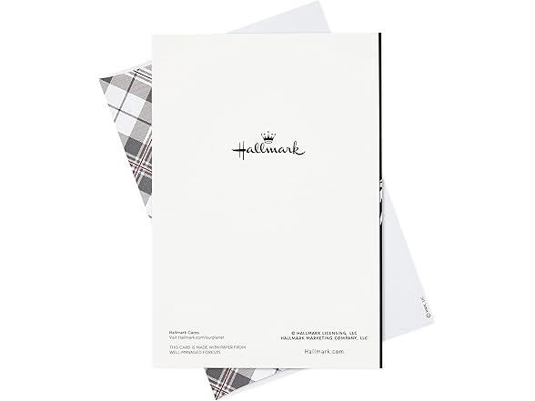 Hallmark Boxed Christmas Cards, Joy to the World