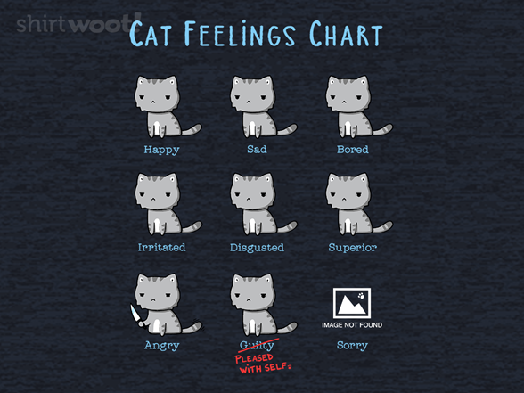 Cat Feelings Chart- Remix