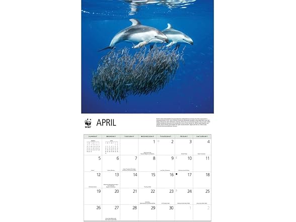Carousel Calendars, Dolphins WWF 2026 W