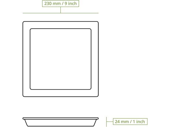 BIOZOYG Palm Leaf Plates 9in 25pk