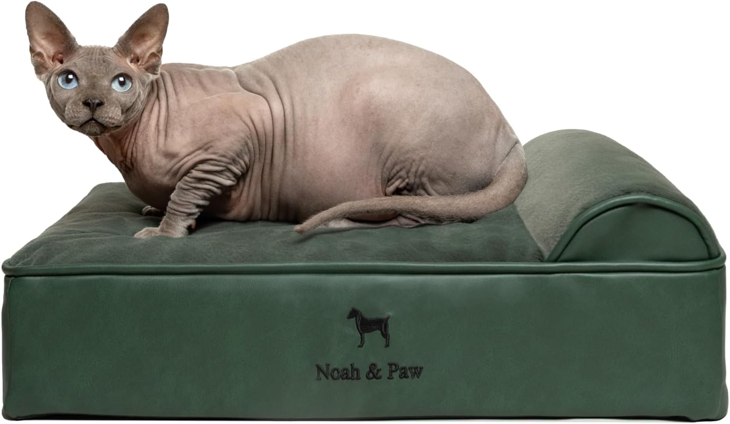NOAH & PAW Orthopedic Dog Beds- Small - Gallery 11