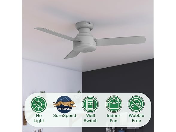 Hunter Fan 44" Ceiling Fan w/ 3-Blades