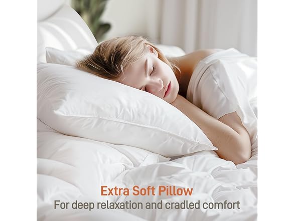 Aveallore Bamboo Viscose Pillow