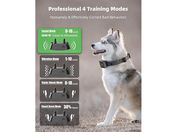 RUNLANE Dog Training Collar with Remote