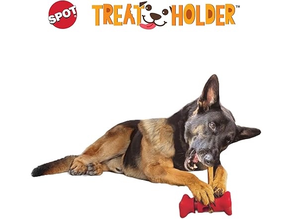SPOT Safety Treat Holder