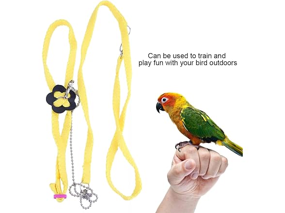 Bird Flying Rope, Bird Anti bite Outdoor Fly