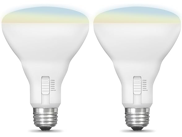 Feit Electric BR30 LED Light Bulb(2 Pack)
