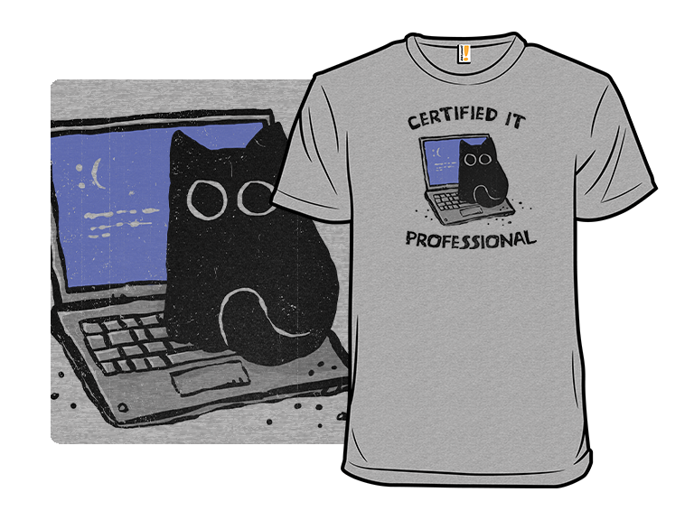 Certified IT Professional