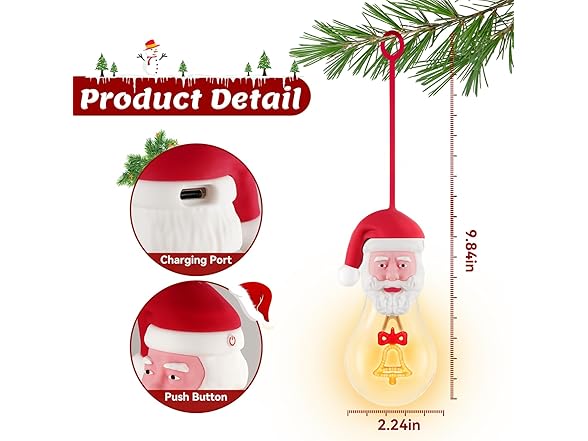 Santa Christmas Light Bulbs, 2 Pack