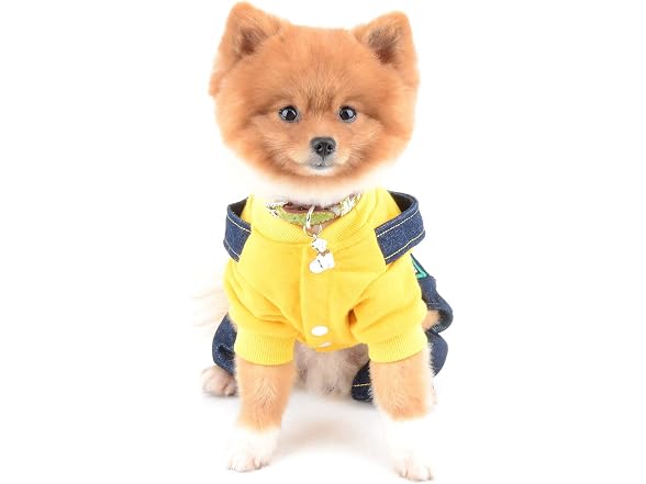 Bear Patch Denim Overalls for Small Dogs, Ye