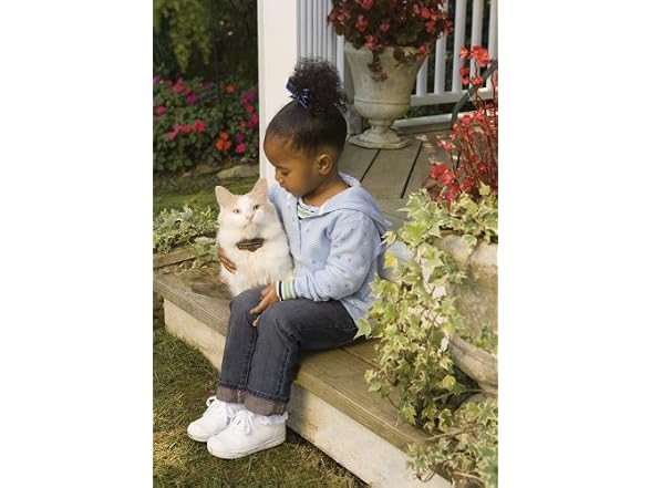 PetSafe Premium Cat Fence Extra Receiver