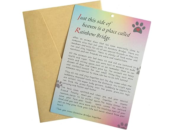 Angel Wings Pet Memorial Gift