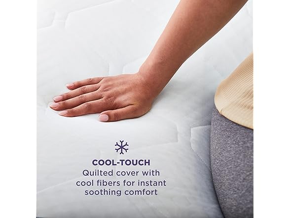 Sleep Innovations Arlo Foam Mattress