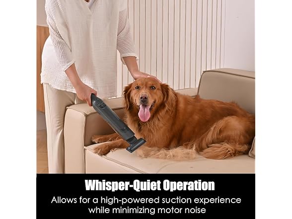 Handheld Vacuum Cordless