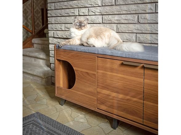 4 Cats & Dogs Tucker Shoe Cabinet