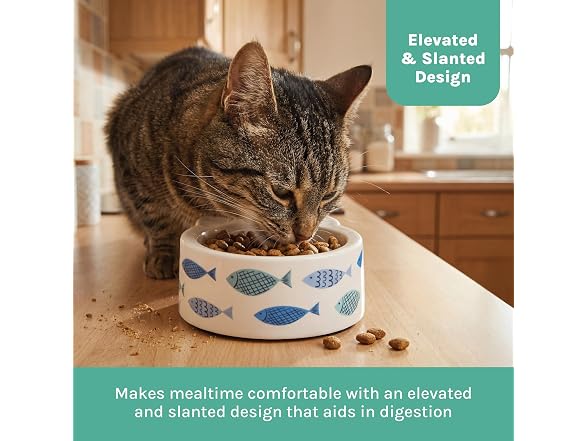 Kitty City Elevated Melamine Cat Bowl- Blue Fish