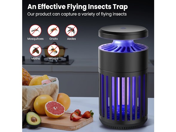 2-in-1 Bug Zapper Indoor Insect Trap