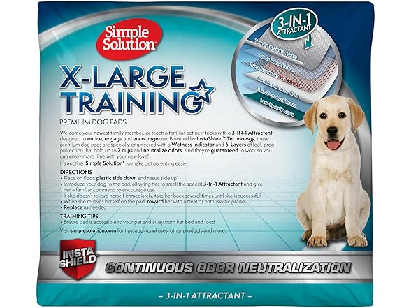 Simple Solution Training Puppy